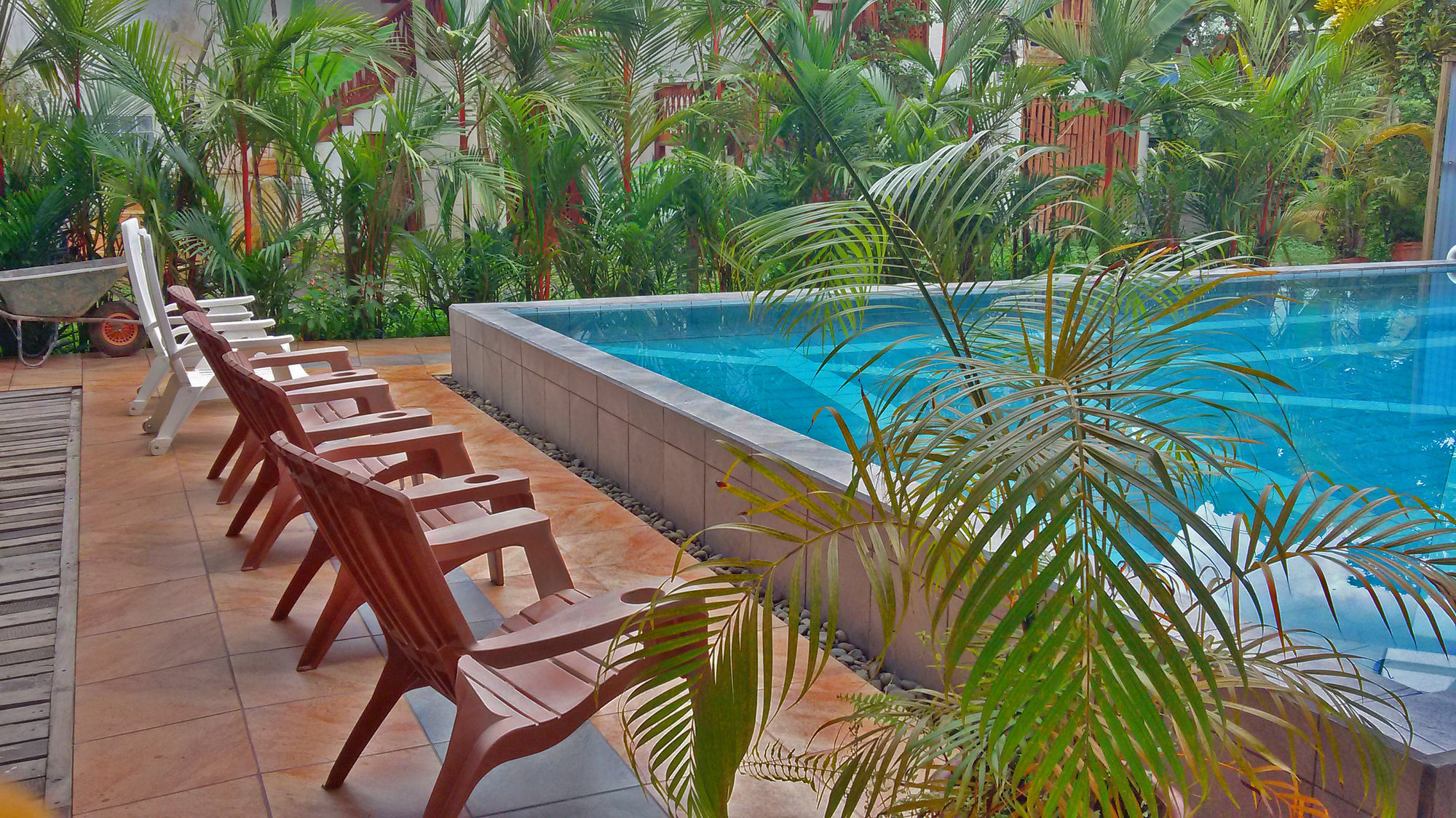 Lizard King Resort Puerto Viejo de Talamanca المظهر الخارجي الصورة